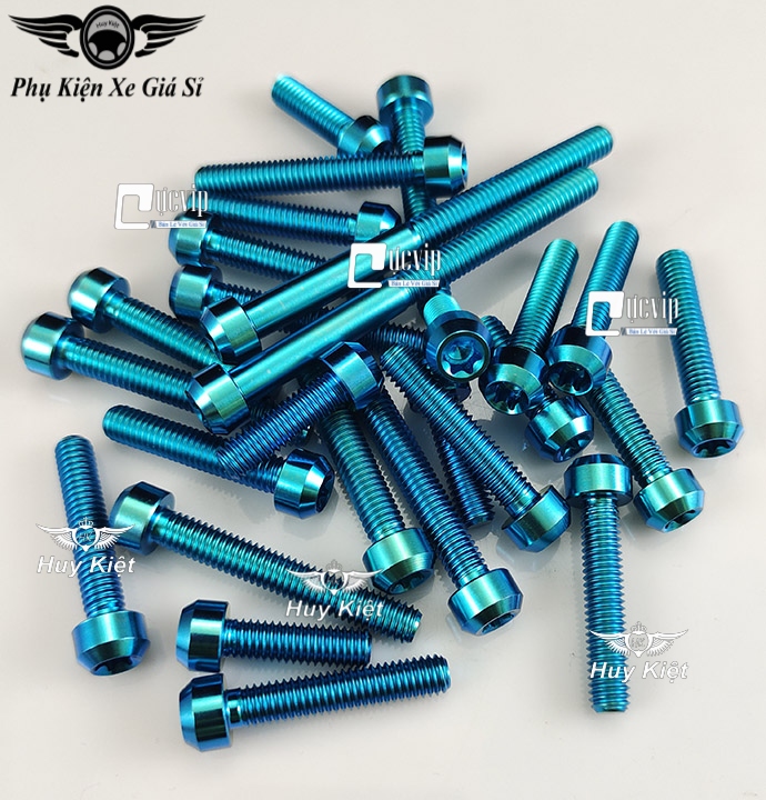 Bộ ốc lốc máy titan thật gr5 cho winner x, winner v1, sonic ms4979