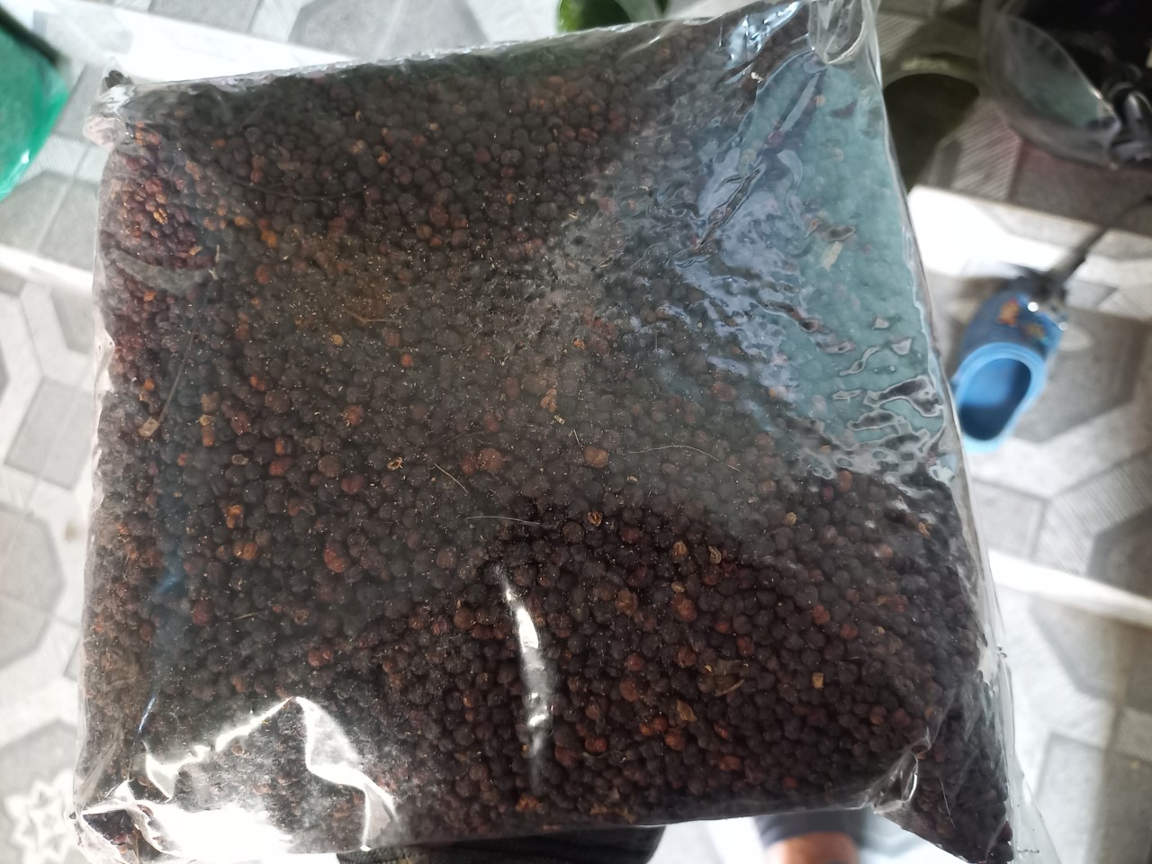 hạt xạ đen 1kg