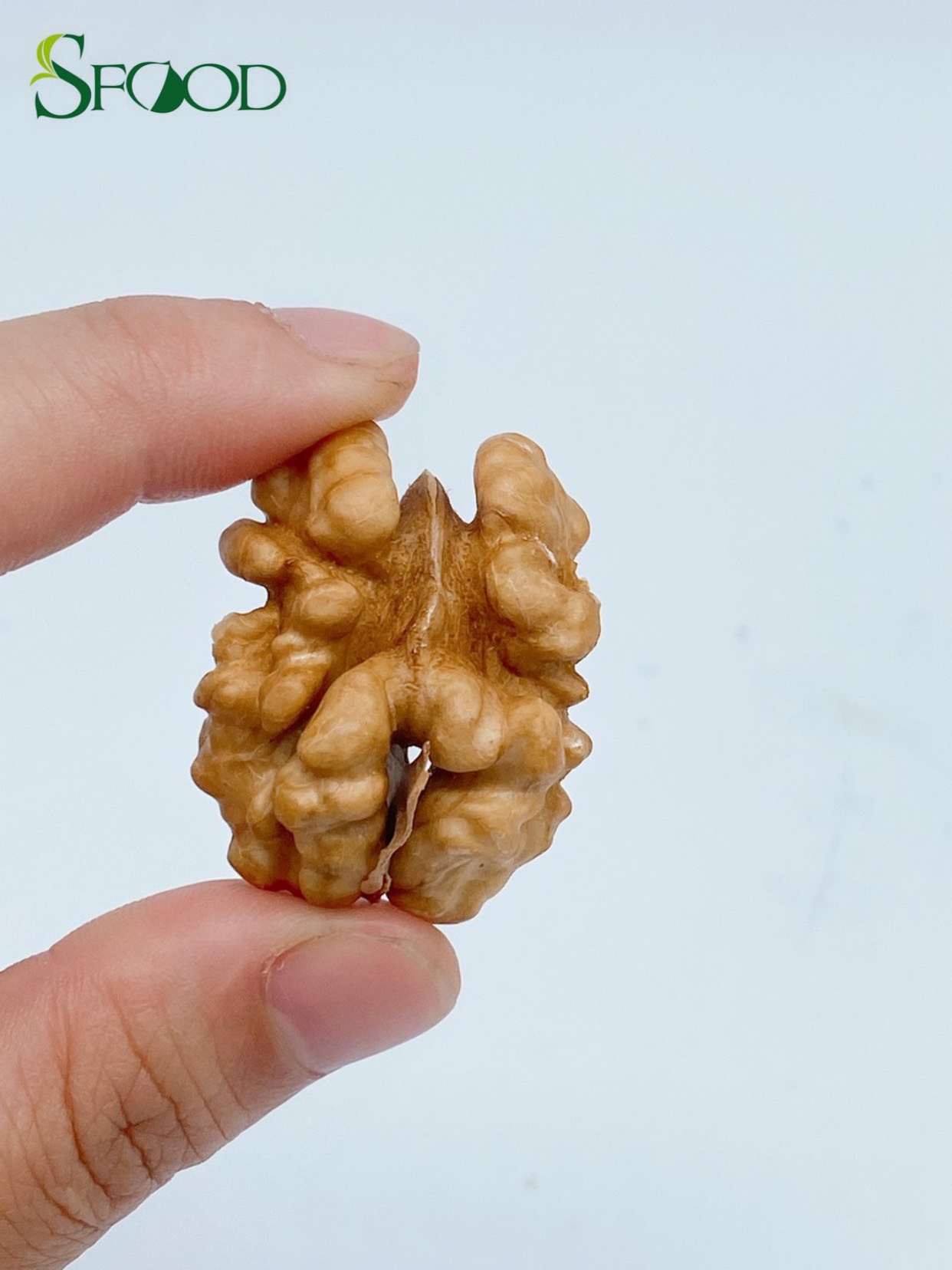 Hạt óc chó sống tách vỏ