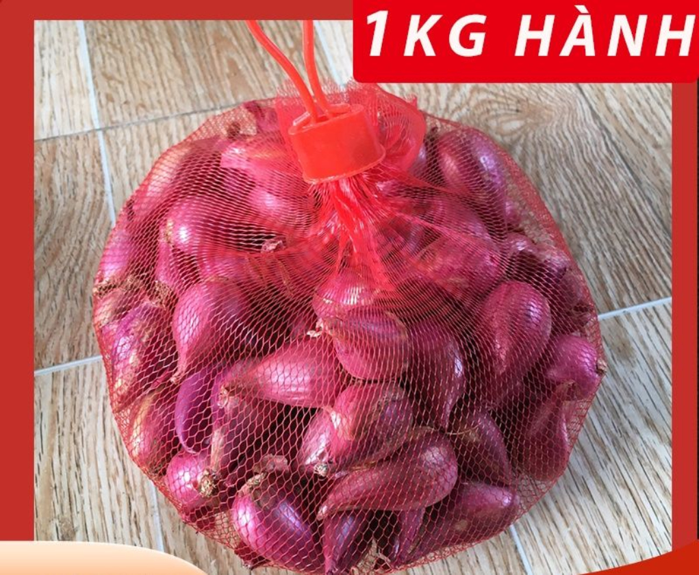 Combo tỏi củ to  (500g) + hành tím (500g) - loại ngon