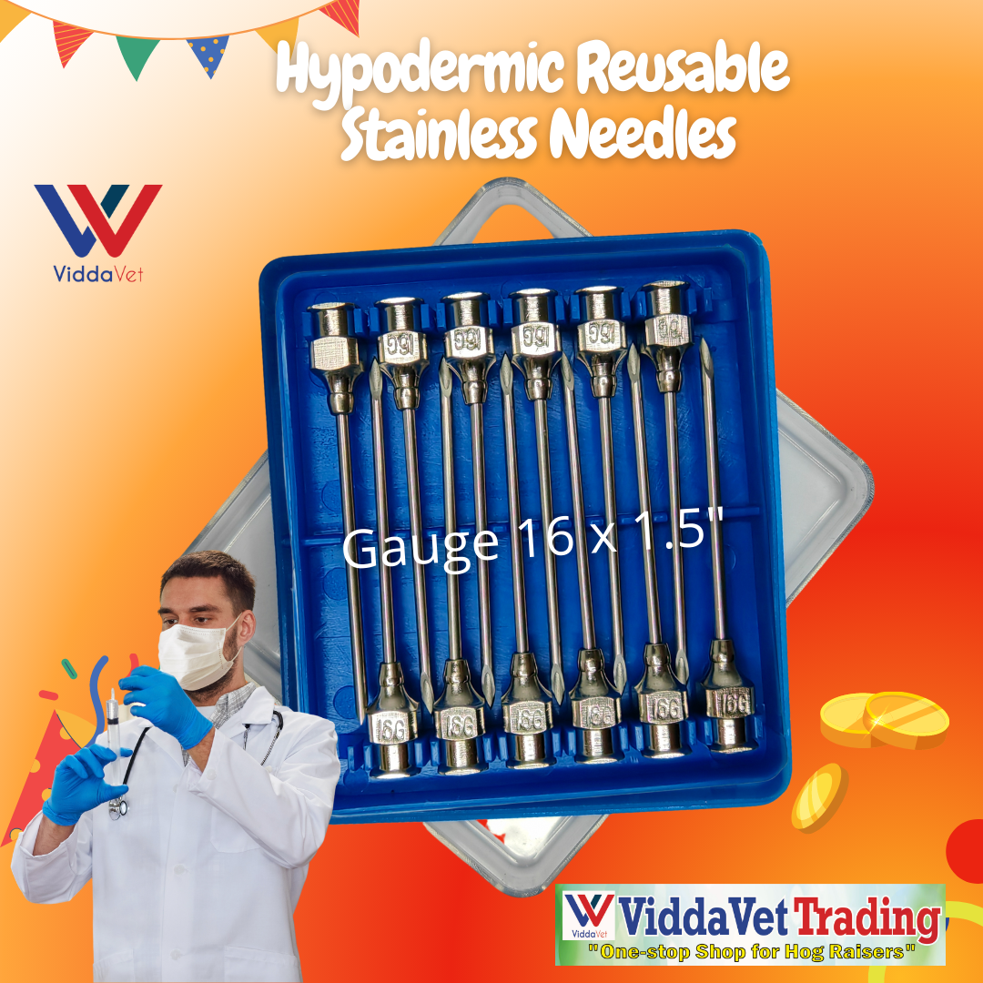 1 Dozen Hypodermic Stainless Needles for Mother Pigs, Boars, Gilts and