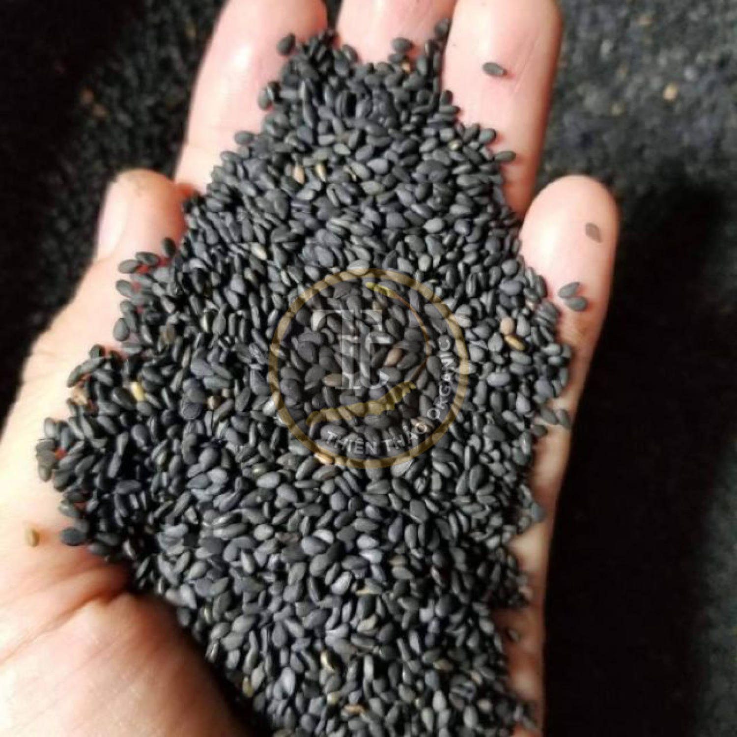500gr Mè đen hữu cơ An Giang Thiên Thảo Organic