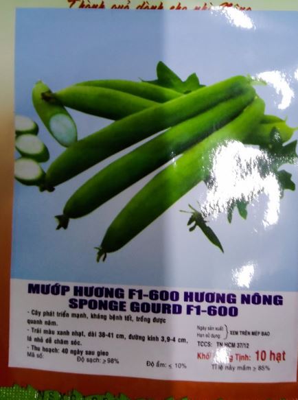 HẠT MƯỚP HƯƠNG - GÓI 10 HẠT