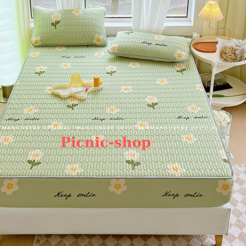[ TẶNG KÈM 2 VỎ GỐI ] Chiếu Điều Hòa Cao Su Non Bo Chun (1m6/1m8/2m2) Mẫu Mới -