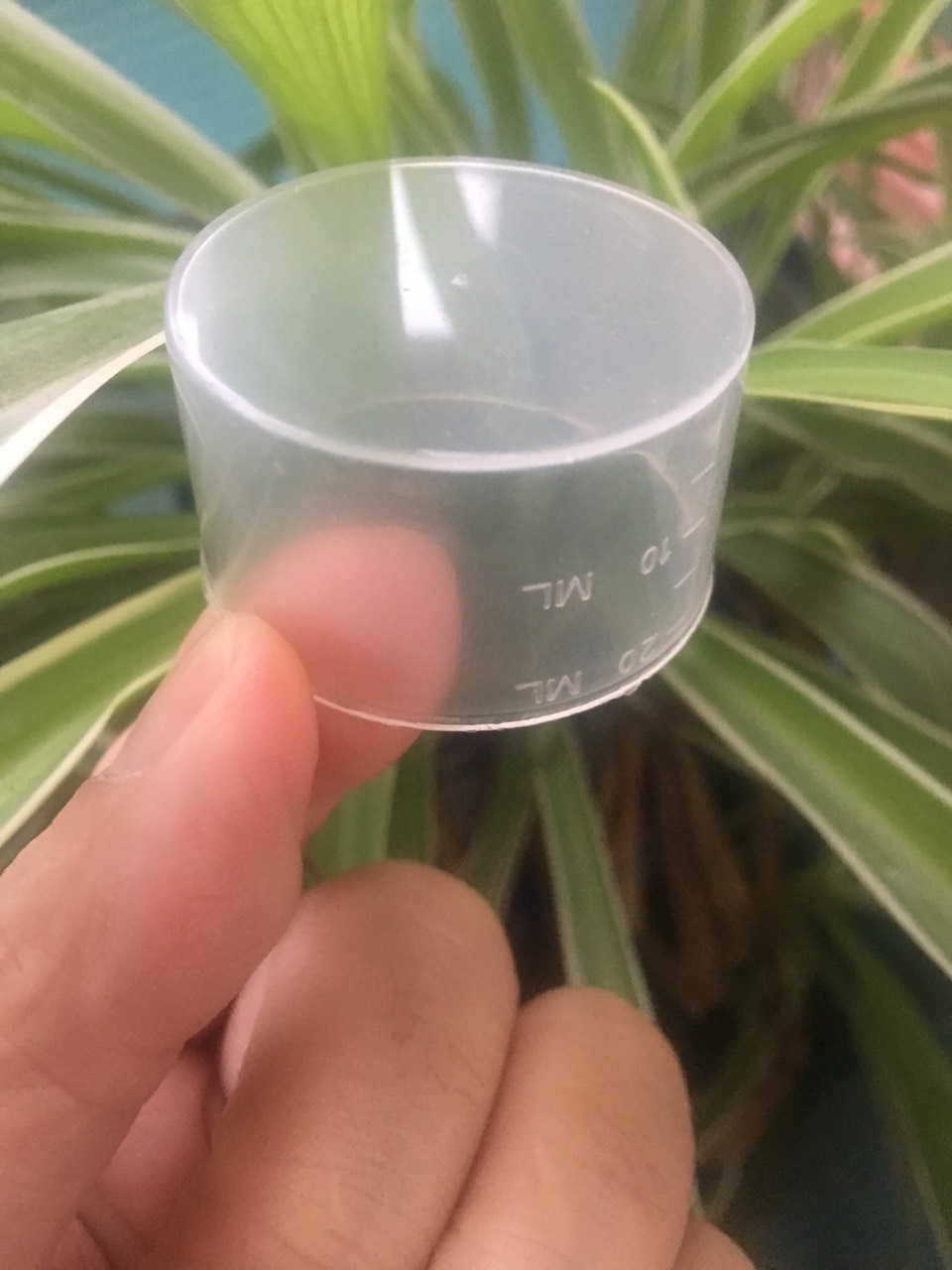 Cốc đong chia vạch, 20ml, 50ml, combo 50 chiếc