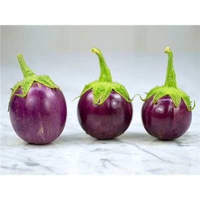 Hạt Giống Cà Bát Tím - H2T FARM