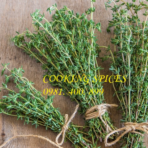 Lá Xạ Hương Sấy Khô ( Thyme ) dùng ướp thịt, Steak, Hầm, làm nước sốt gia vị