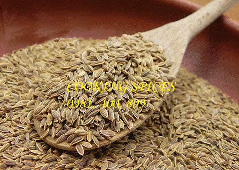 Hạt Thì Là Ấn Độ ( Cumin Whole )