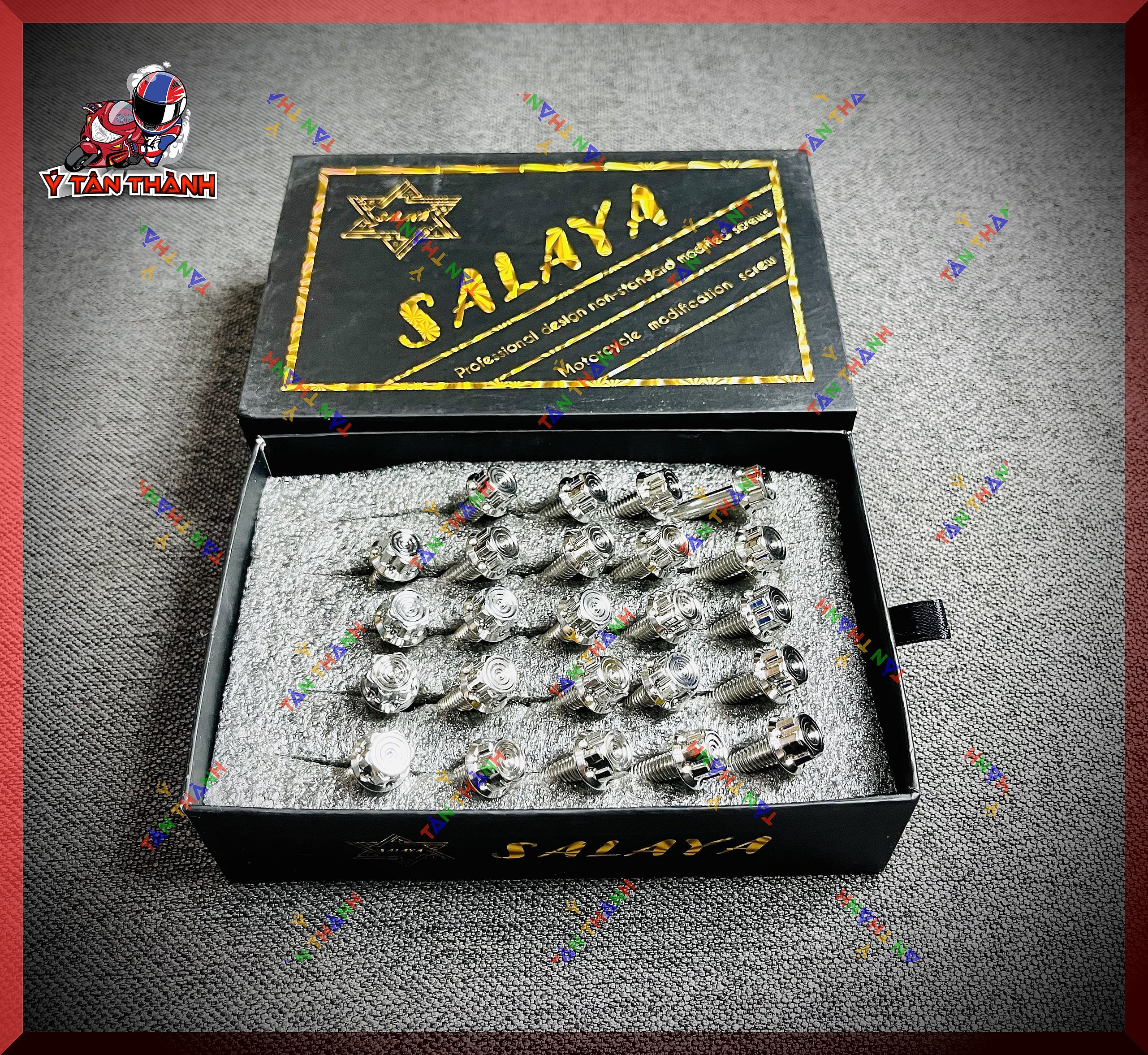 Bộ Ốc Lốc Máy Salaya V2 cho Winner V1 MS41