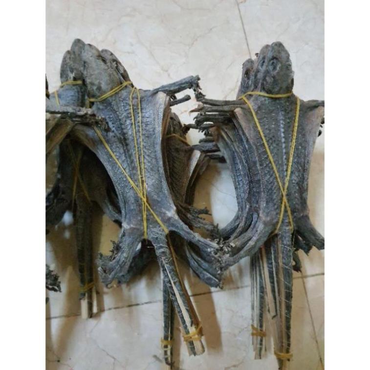 tắc kè khô nguyên con
