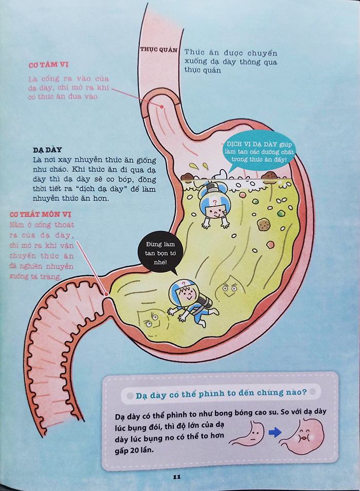 Sách thiếu nhi - Khám phá bí ẩn cơ thể người