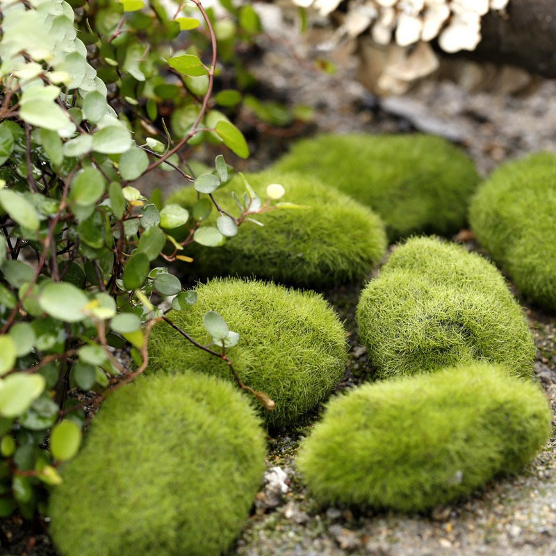 Đá rêu giả bằng xốp trang trí trang trí hồ cá, bể cá, chậu cây, tiểu cảnh terrarium