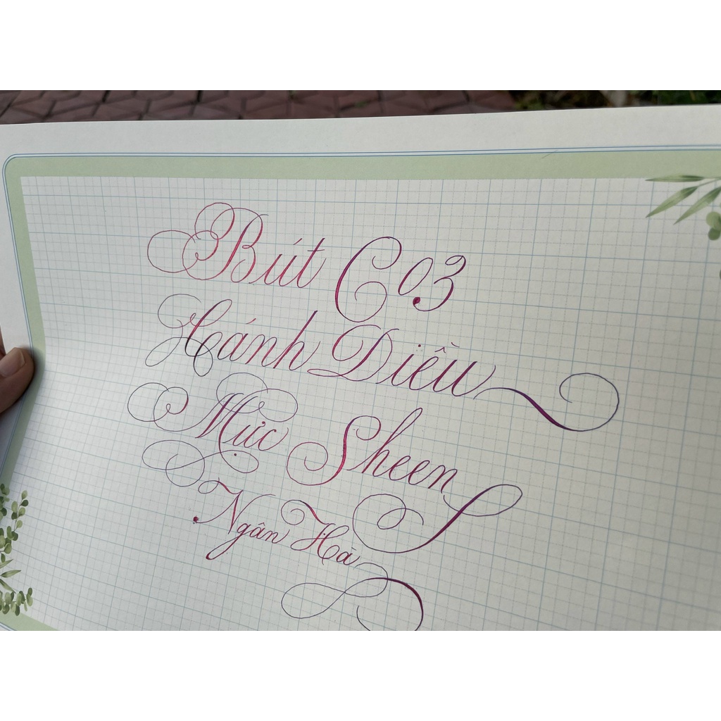 Bút Cánh Diều C03 - bút ngòi Calligraphy