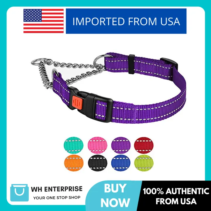 CollarDirect Reflective Martingale Collars for Dogs Training Chain Pet Choke Collar with Buckle Red Pink Mint Green Orange Blue Black Purple CollarDirect Reflective Martingale Collars for Dogs Training Chain Pet Choke Collar with Buckle Red Pink Mint Green Orange Blue Black Purple
