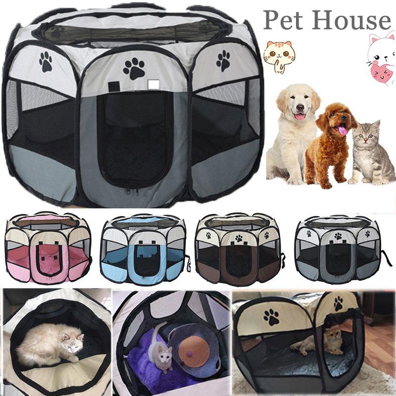 How Do You Ship A Dog Safely