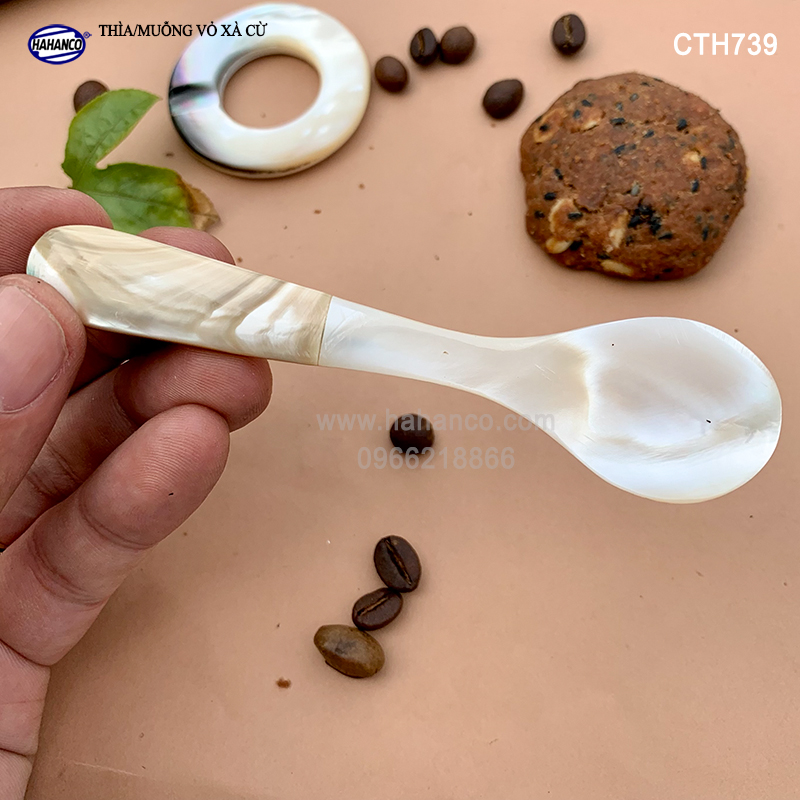 Thìa/Muỗng làm từ vỏ chai - chuôi vỏ ốc biển xà cừ - An toàn cho sức khỏe (CTH739)