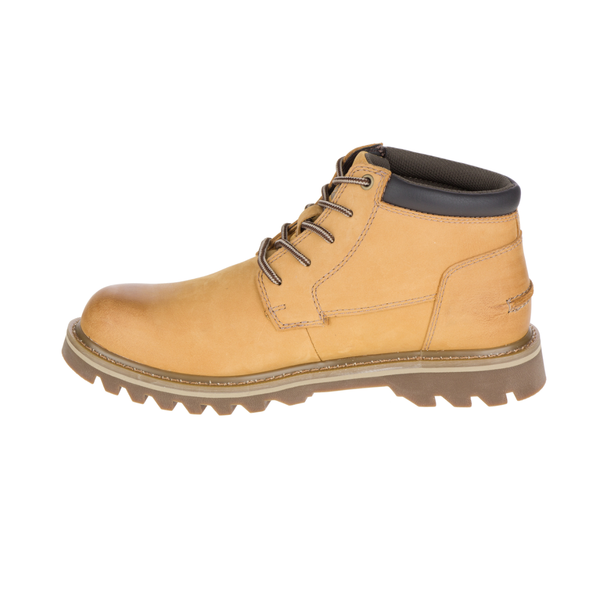 caterpillar doubleday